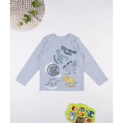 Camiseta gris dinosaurios niño