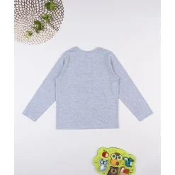Camiseta gris dinosaurios niño