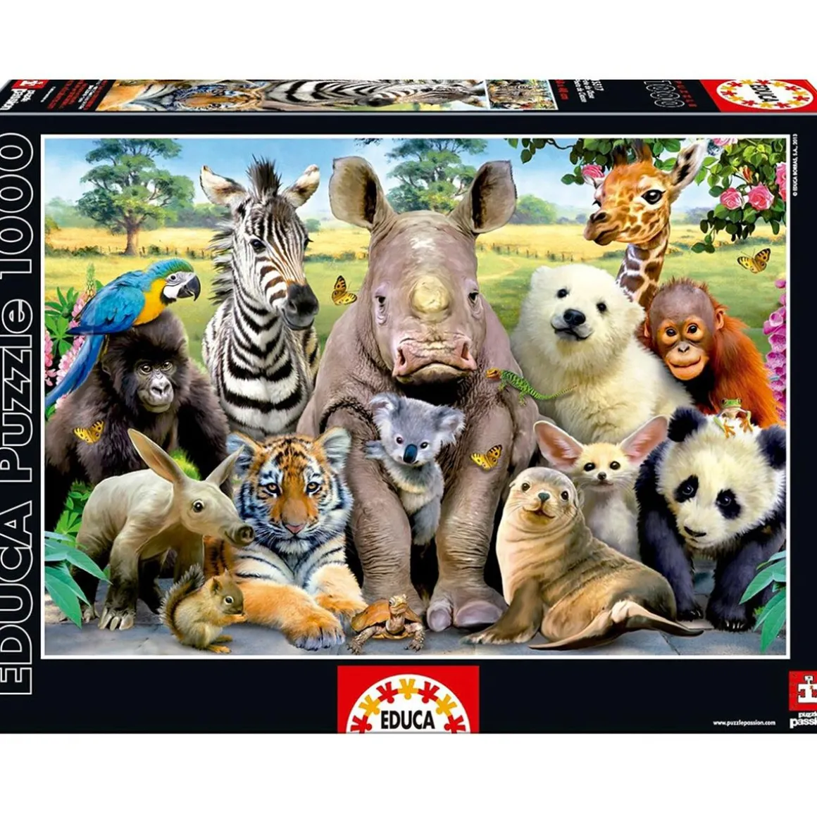 Educa Borrás - Puzzle 1000 Piezas - Foto de Clase