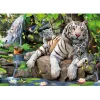 Educa Borrás - Puzzle 1000 Piezas - Tigres Blancos de Bengala