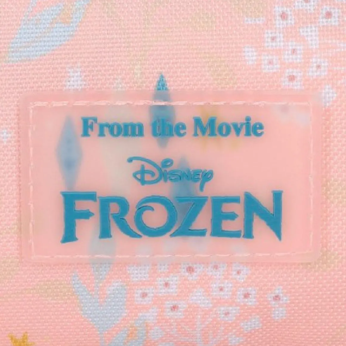 Frozen - Mochila Preescolar adaptable 25 cm - Believe in the journey