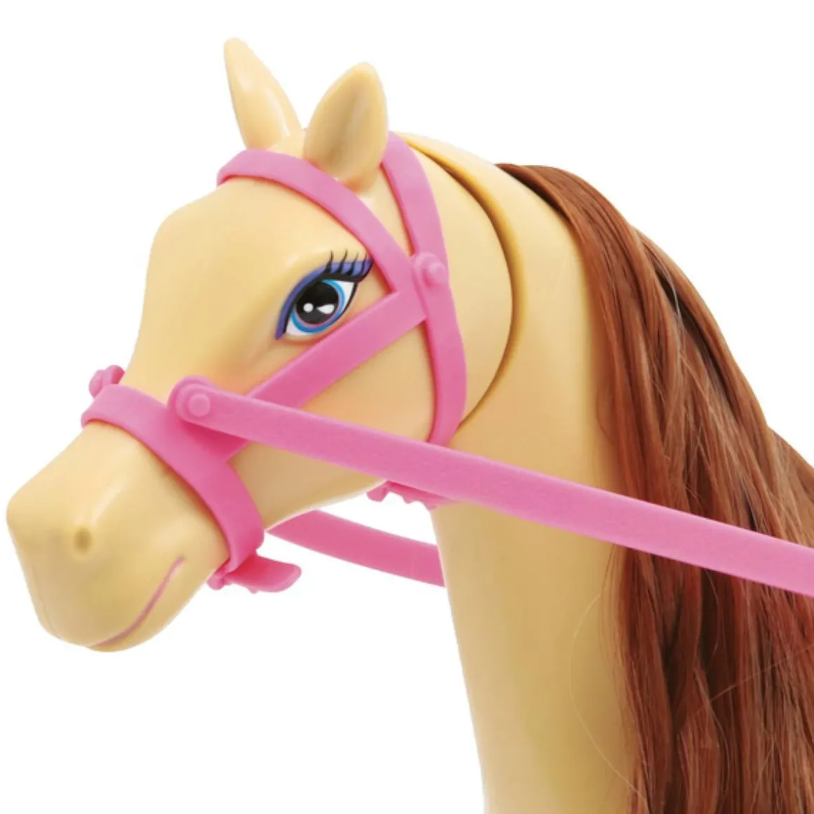Lolly - El caballo de Lolly