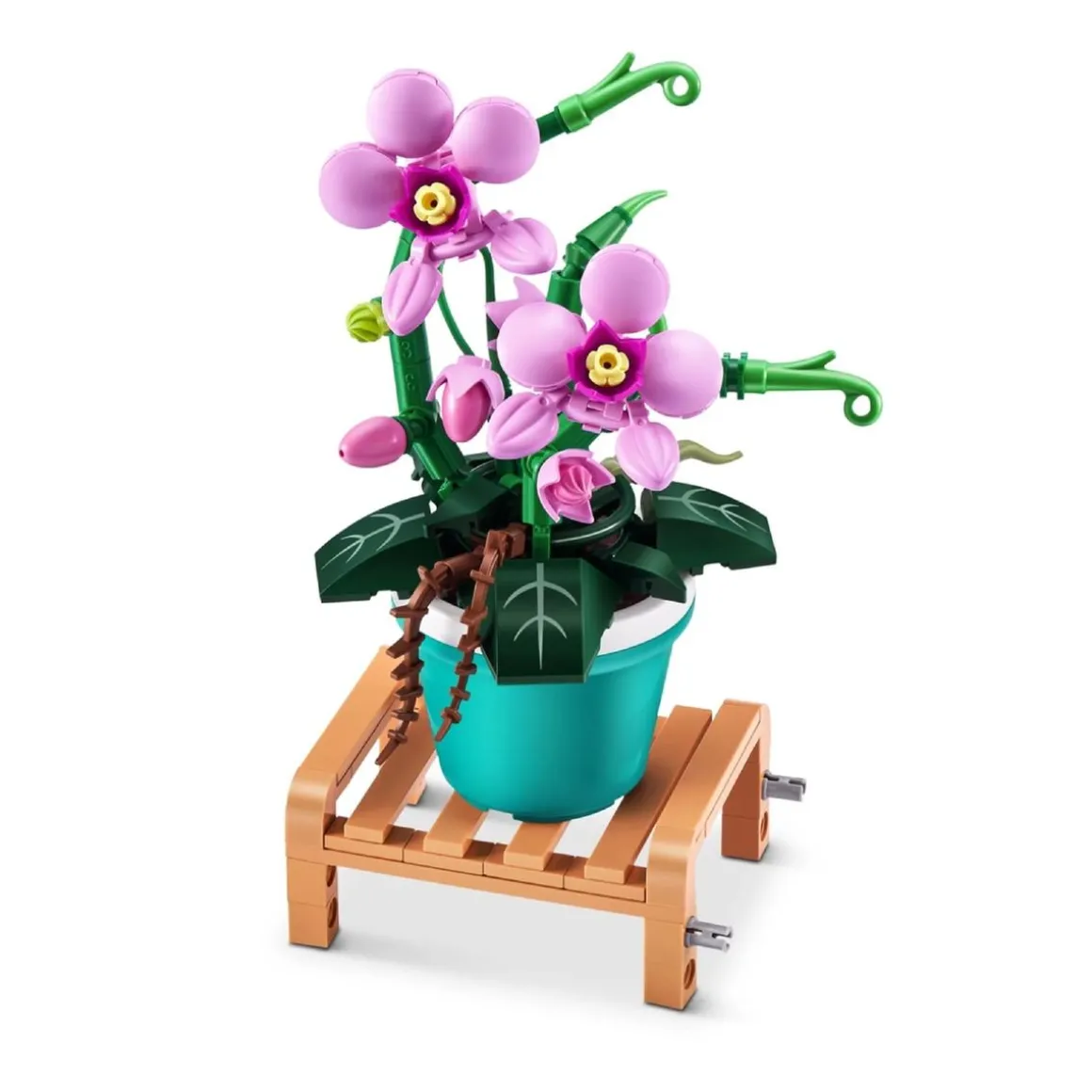 MAX - Pack 4 Cápsulas Garden