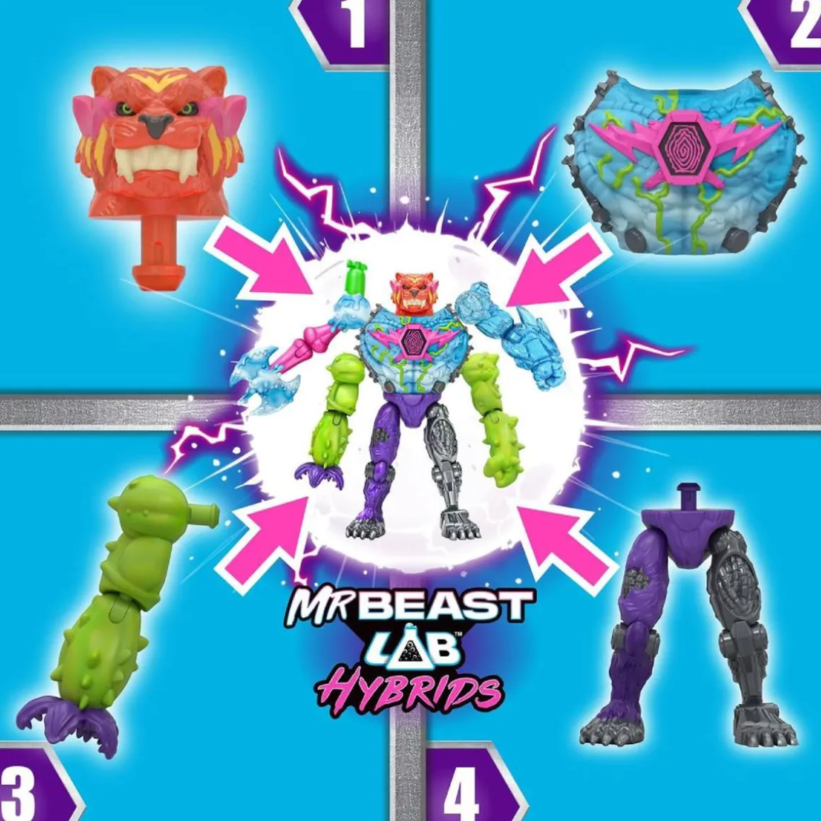 Mr. Beast Lab Hybrids