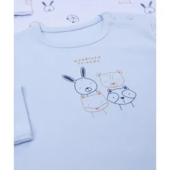 Pack 2 bodies de manga larga niño animalitos