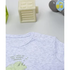 Pack 2 bodies de manga larga niño gris y blanco con dinosaurios