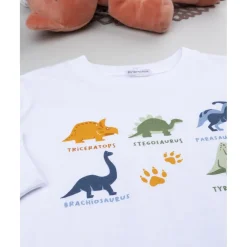 Pijama largo dos piezas niño Dino