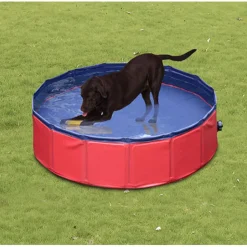 Piscina plegable para mascotas 160 cm