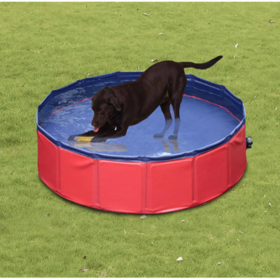 Piscina plegable para mascotas 160 cm