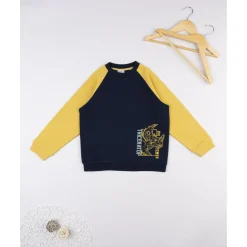 Sudadera niño azul/amarilla “Triceratops” raglán