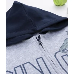 Sudadera niño gris/azul “Dinos” con capucha