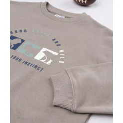 Sudadera niño marrón dinosaurios