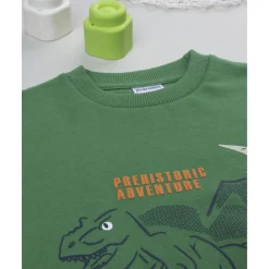 Sudadera niño verde estampado relieve