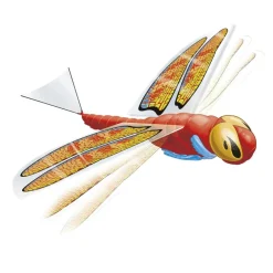 Sun & Sport - Dragonfly