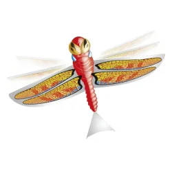 Sun & Sport - Dragonfly